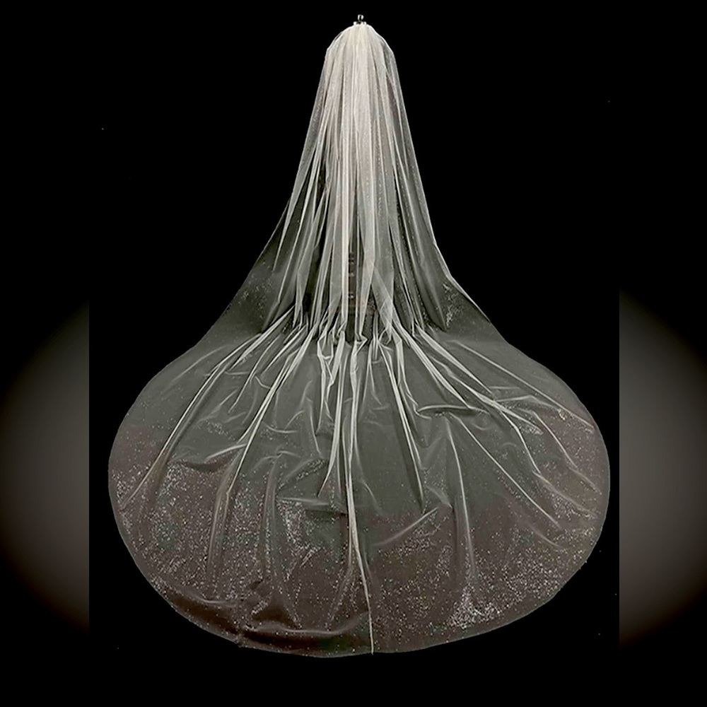 Glittery cathedral length bridal veil